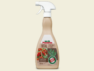 Bio Plantella Vital za rajčice
